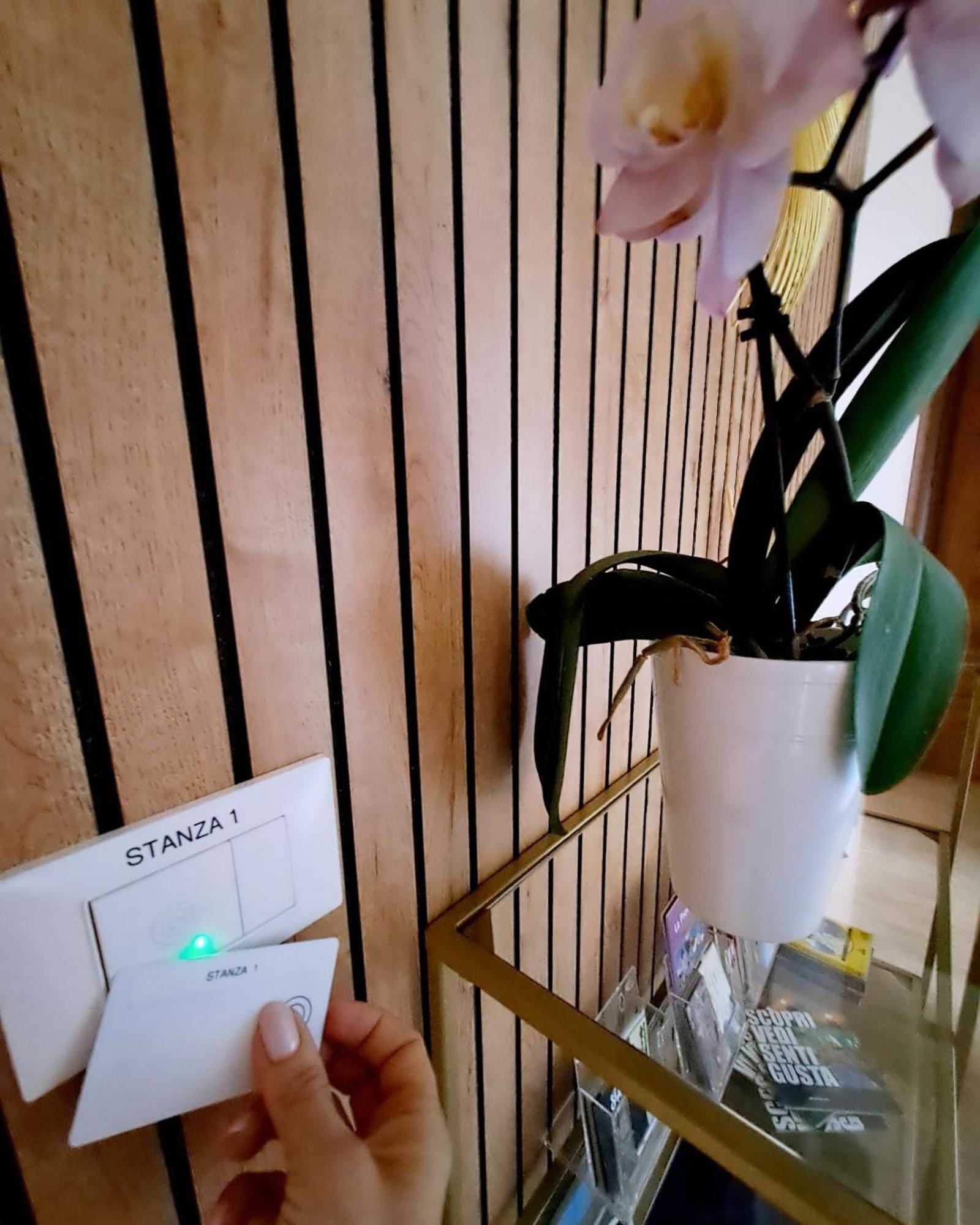B&B Domu Mea 萨罗克 外观 照片